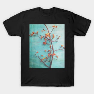 She Hung Her Dreams on Branches T-Shirt